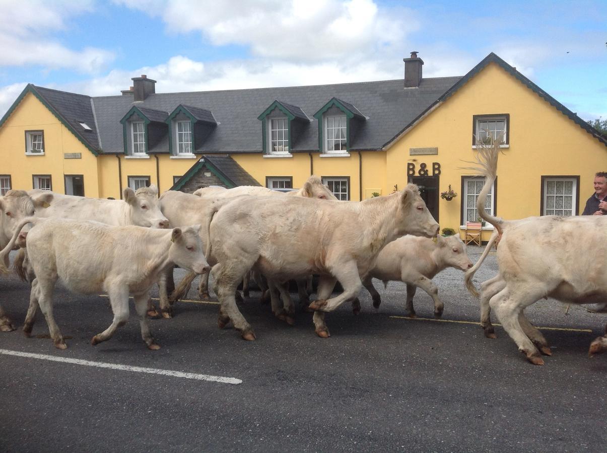 The Old School House B&B Ballinskelligs Bagian luar foto